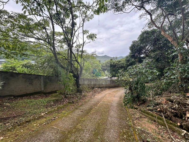 Terreno com 11.063,69 de área total em Cacupé: 4ª foto da galeria de imagens do imóvel