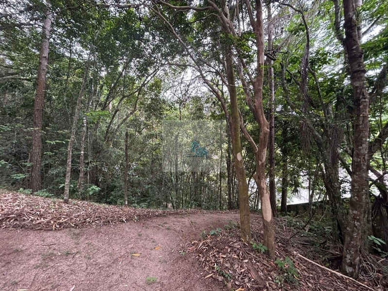 Terreno com 11.063,69 de área total em Cacupé: 1ª foto da galeria de imagens do imóvel