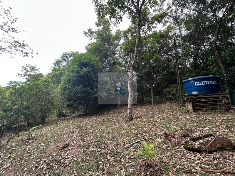 Terreno com 11.063,69 de área total em Cacupé: 9ª foto da galeria de imagens do imóvel