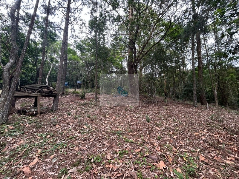 Terreno com 11.063,69 de área total em Cacupé: 14ª foto da galeria de imagens do imóvel