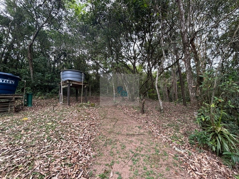 Terreno com 11.063,69 de área total em Cacupé: 8ª foto da galeria de imagens do imóvel