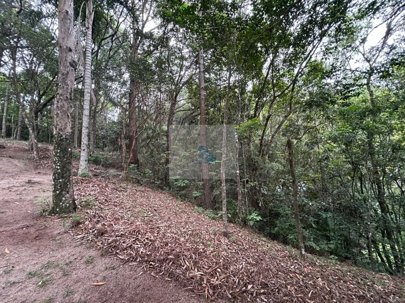 Terreno com 11.063,69 de área total em Cacupé: 10ª foto da galeria de imagens do imóvel