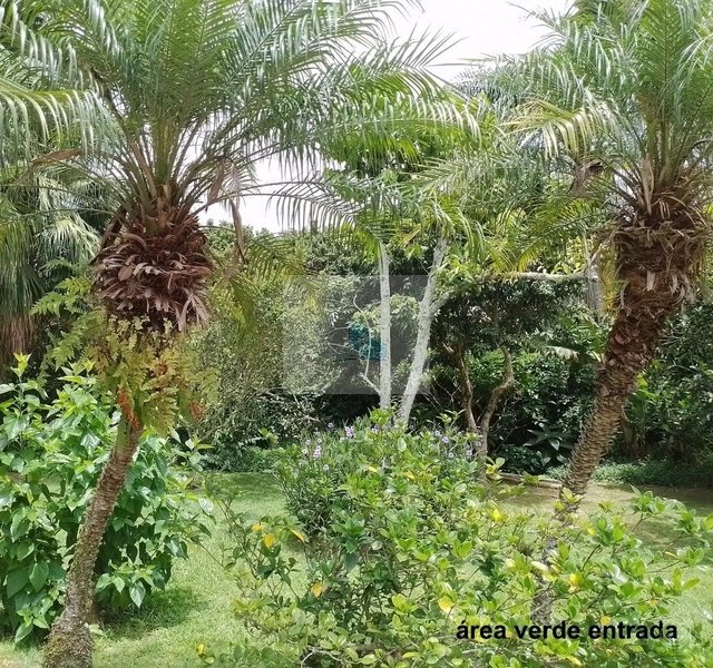 Terreno a venda condominio Gralha Azul no Sambaqui: 6ª foto da galeria de imagens do imóvel