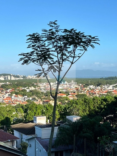 Terreno condominio fechado a venda no Corrego Grande: 4ª foto da galeria de imagens do imóvel