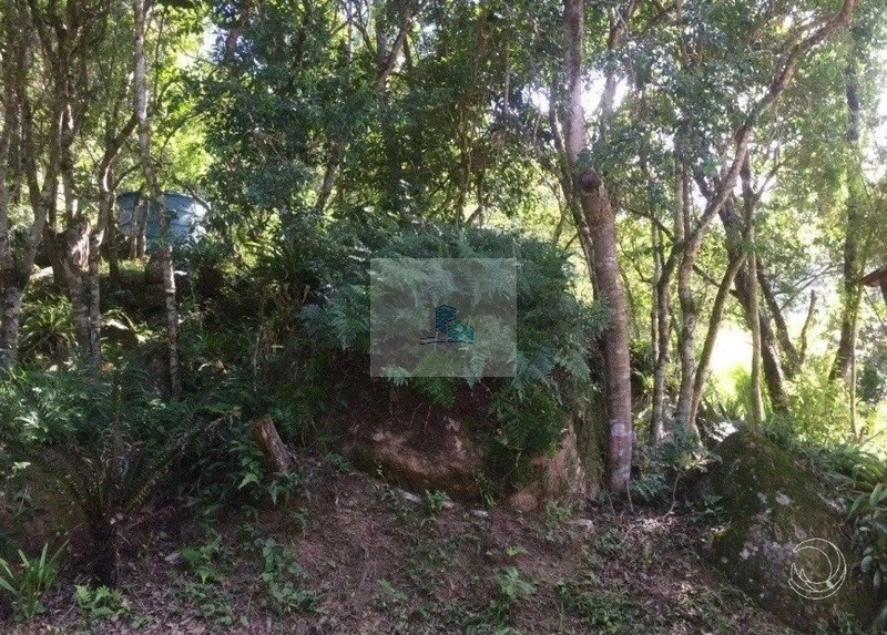 Sítio com 17.763,5 m² na Vargem Pequena em Florianópolis: 15ª foto da galeria de imagens do imóvel
