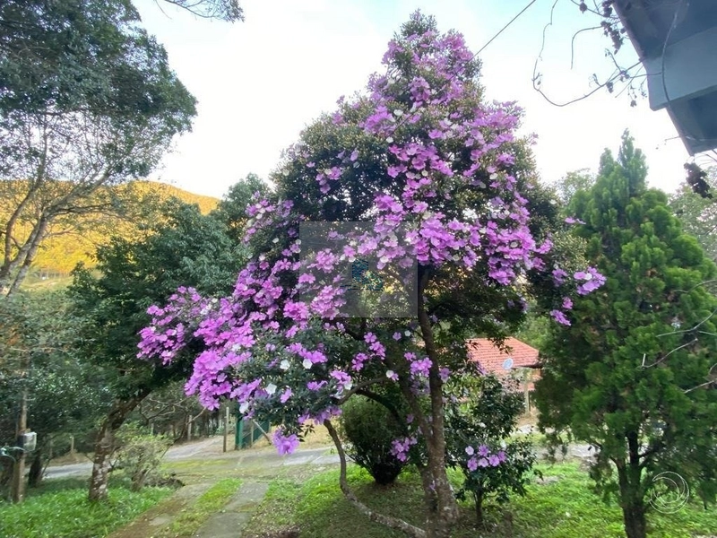 Sítio com 17.763,5 m² na Vargem Pequena em Florianópolis: 14ª foto da galeria de imagens do imóvel