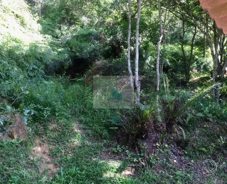 Sítio com 17.763,5 m² na Vargem Pequena em Florianópolis: 16ª foto da galeria de imagens do imóvel