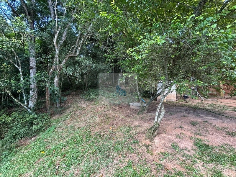 Terreno de 32.600m² em Cacupé: 9ª foto da galeria de imagens do imóvel
