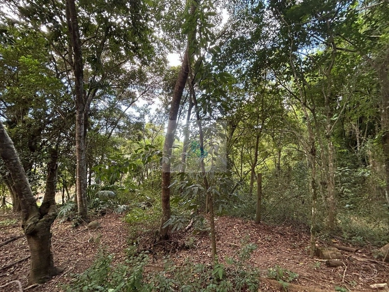 Terreno de 32.600m² em Cacupé: 11ª foto da galeria de imagens do imóvel