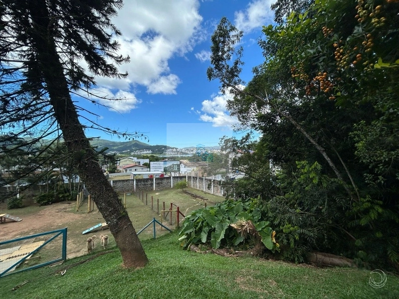 Terreno de 32.600m² em Cacupé: 10ª foto da galeria de imagens do imóvel