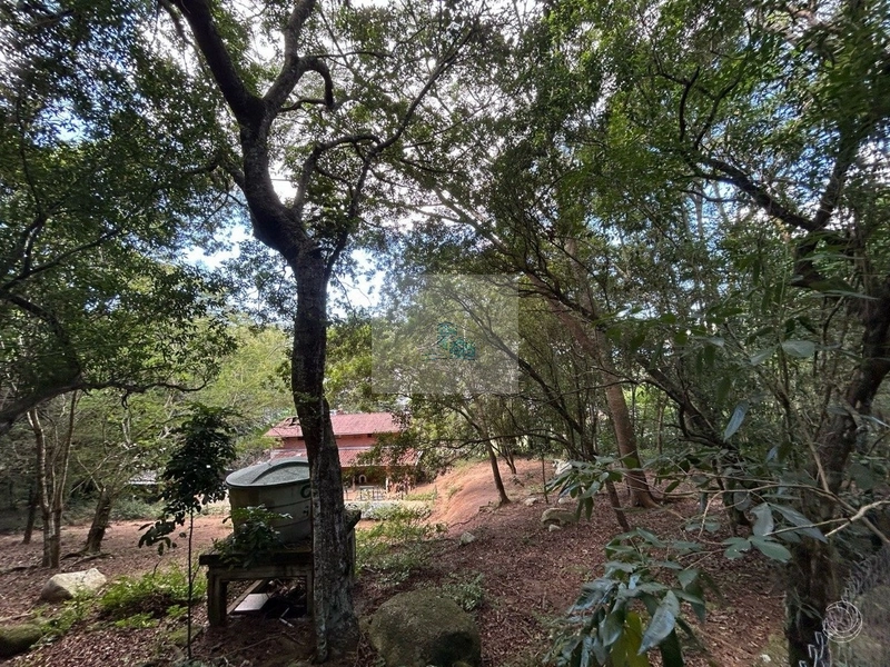 Terreno de 32.600m² em Cacupé: 14ª foto da galeria de imagens do imóvel
