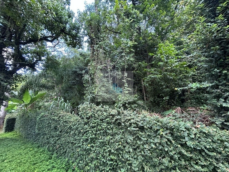 Terreno de 32.600m² em Cacupé: 5ª foto da galeria de imagens do imóvel