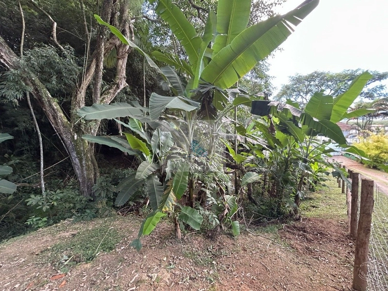 Terreno de 32.600m² em Cacupé: 7ª foto da galeria de imagens do imóvel