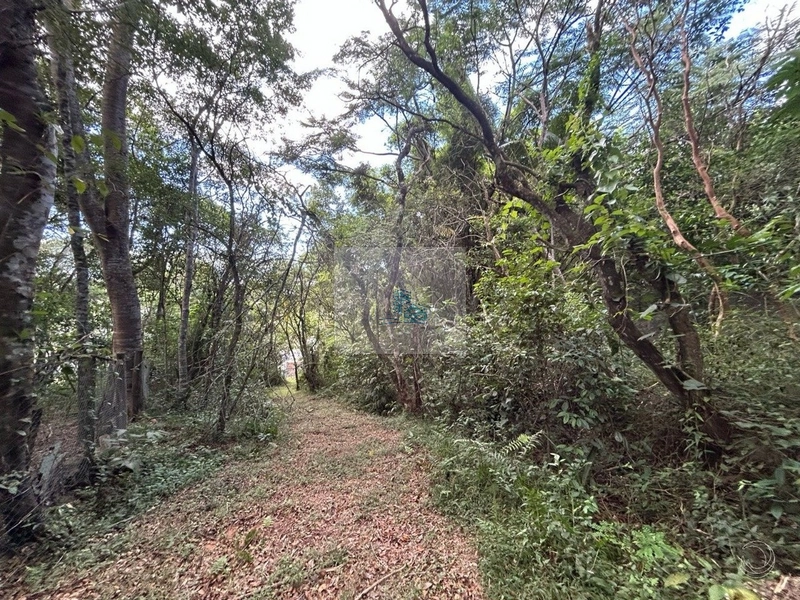 Terreno de 32.600m² em Cacupé: 13ª foto da galeria de imagens do imóvel
