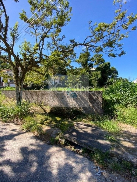 Terreno com 720m² no bairro Trindade, Florianópolis: 10ª foto da galeria de imagens do imóvel