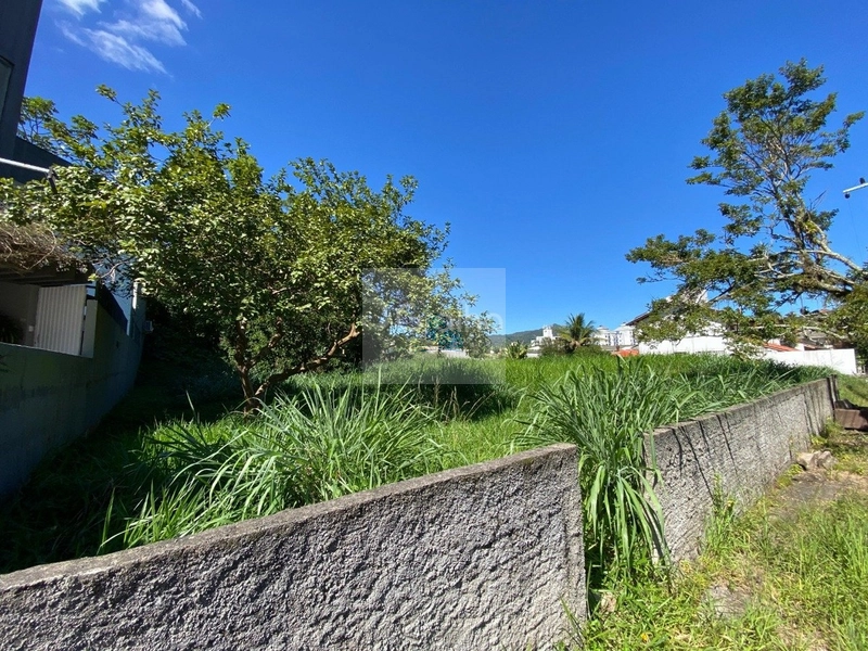 Terreno com 720m² no bairro Trindade, Florianópolis: 7ª foto da galeria de imagens do imóvel