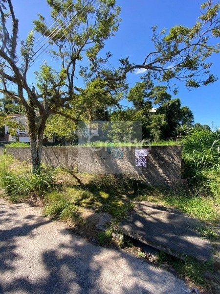 Terreno com 720m² no bairro Trindade, Florianópolis: 9ª foto da galeria de imagens do imóvel