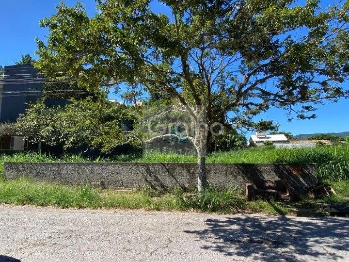 Terreno com 720m² no bairro Trindade, Florianópolis: 1ª foto da galeria de imagens do imóvel
