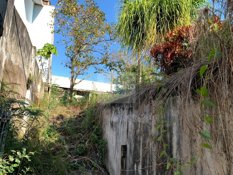 Terreno a venda na Trindade com 341m²: 2ª foto da galeria de imagens do imóvel