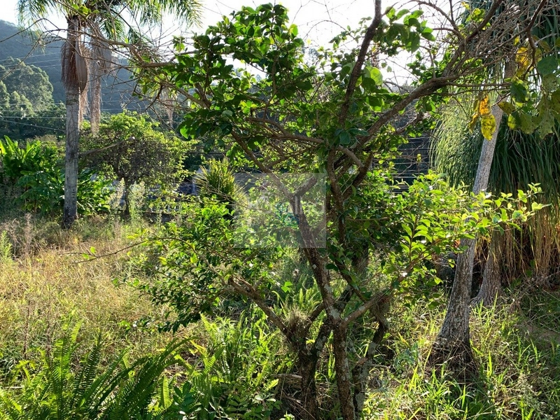 Terreno a venda na Trindade com 341m²: 5ª foto da galeria de imagens do imóvel