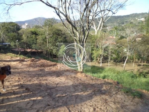 Terreno a venda próximo ao parque linear no Córrego Grande 1.312m²: 3ª foto da galeria de imagens do imóvel