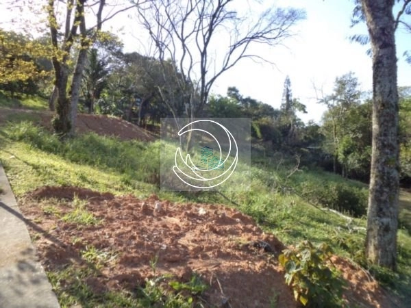 Terreno a venda próximo ao parque linear no Córrego Grande 1.312m²: 5ª foto da galeria de imagens do imóvel