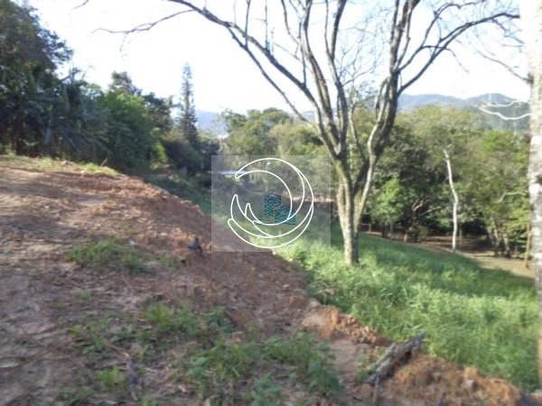 Terreno a venda próximo ao parque linear no Córrego Grande 1.312m²: 4ª foto da galeria de imagens do imóvel