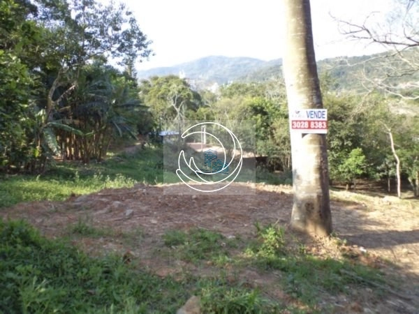 Terreno a venda próximo ao parque linear no Córrego Grande 1.312m²: 2ª foto da galeria de imagens do imóvel