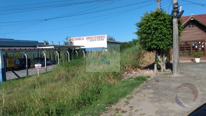 Terreno a venda frente SC 401 perto Canavieiras 920m²: 5ª foto da galeria de imagens do imóvel