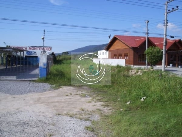 Terreno a venda frente SC 401 perto Canavieiras 920m²: 4ª foto da galeria de imagens do imóvel