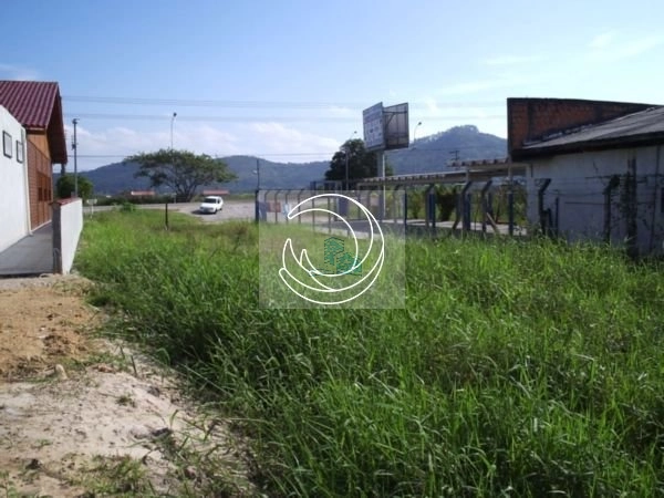 Terreno a venda frente SC 401 perto Canavieiras 920m²: 2ª foto da galeria de imagens do imóvel