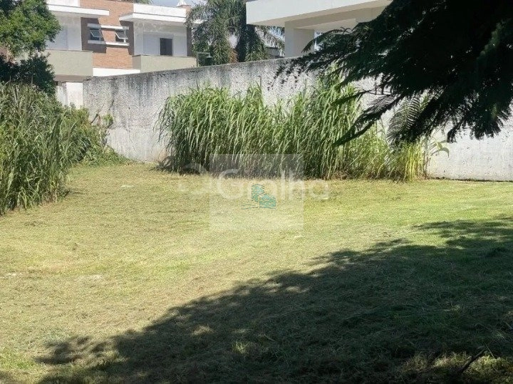 Terreno de 450m² em Jurerê Internacional: 6ª foto da galeria de imagens do imóvel