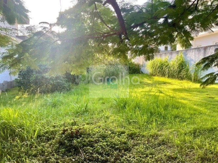 Terreno de 450m² em Jurerê Internacional: 7ª foto da galeria de imagens do imóvel