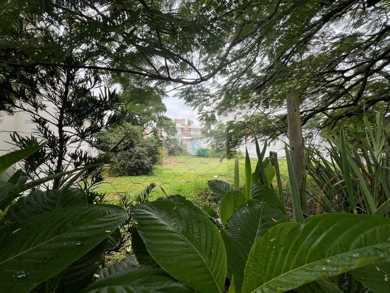 Terreno de 450m² em Jurerê Internacional: 12ª foto da galeria de imagens do imóvel