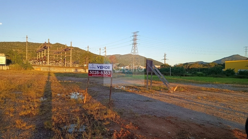 Terreno de 10.220m² na Vargem Grande: 12ª foto da galeria de imagens do imóvel