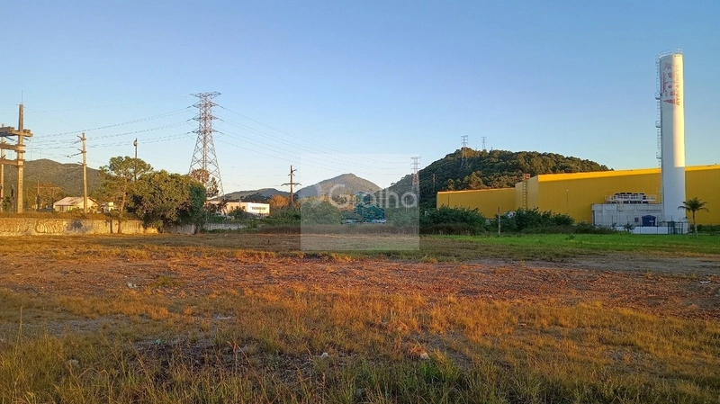 Terreno de 10.220m² na Vargem Grande: 10ª foto da galeria de imagens do imóvel