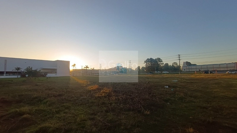 Terreno de 10.220m² na Vargem Grande: 6ª foto da galeria de imagens do imóvel