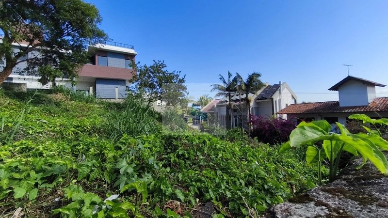 Terreno no bairro Centro com 915 M² em Florianópolis: 6ª foto da galeria de imagens do imóvel