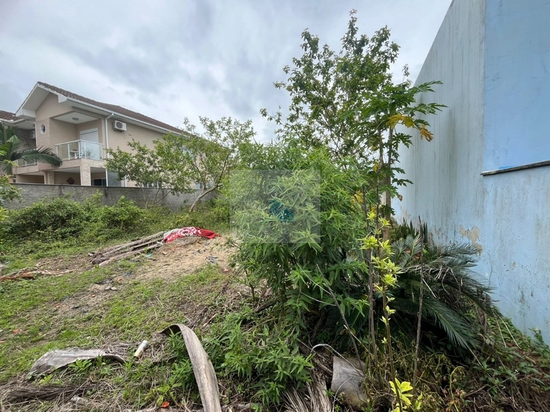 Terreno em Canasvieiras com 450 m² Plano e Pronto para Construir: 6ª foto da galeria de imagens do imóvel