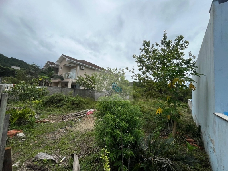 Terreno em Canasvieiras com 450 m² Plano e Pronto para Construir: 9ª foto da galeria de imagens do imóvel