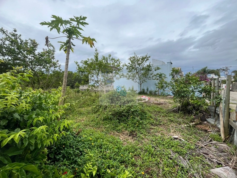 Terreno em Canasvieiras com 450 m² Plano e Pronto para Construir: 4ª foto da galeria de imagens do imóvel