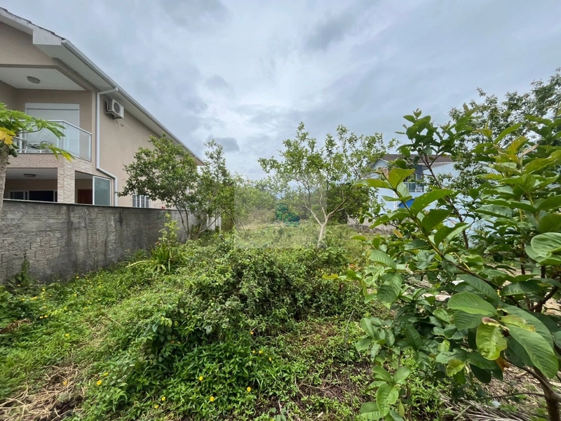 Terreno em Canasvieiras com 450 m² Plano e Pronto para Construir: 7ª foto da galeria de imagens do imóvel