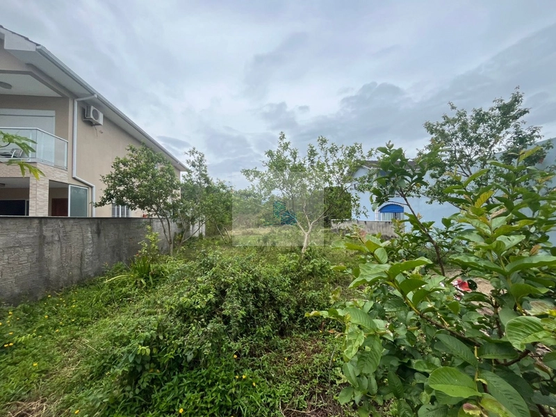 Terreno em Canasvieiras com 450 m² Plano e Pronto para Construir: 8ª foto da galeria de imagens do imóvel