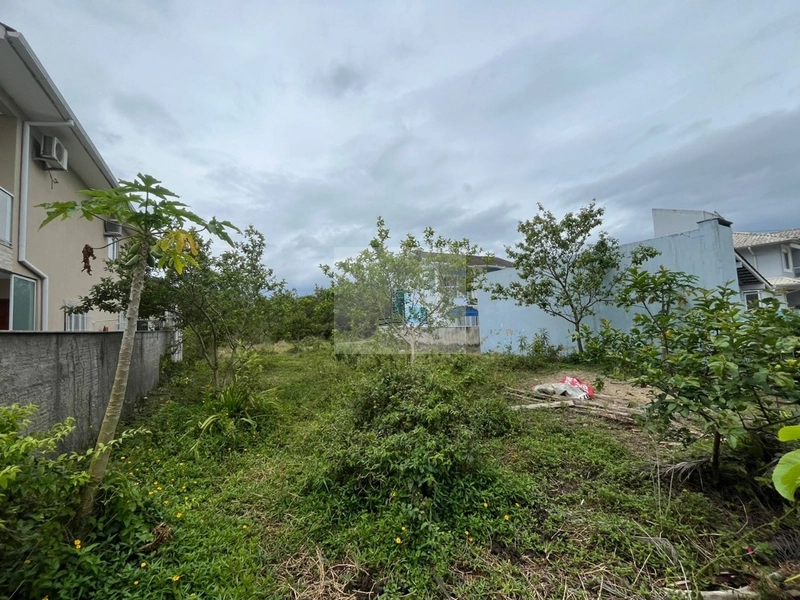 Terreno em Canasvieiras com 450 m² Plano e Pronto para Construir: 3ª foto da galeria de imagens do imóvel