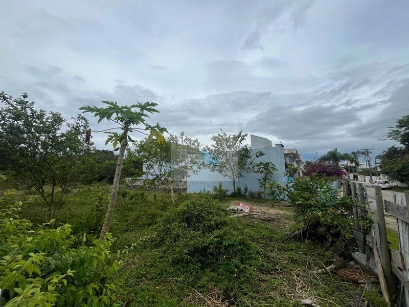 Terreno em Canasvieiras com 450 m² Plano e Pronto para Construir