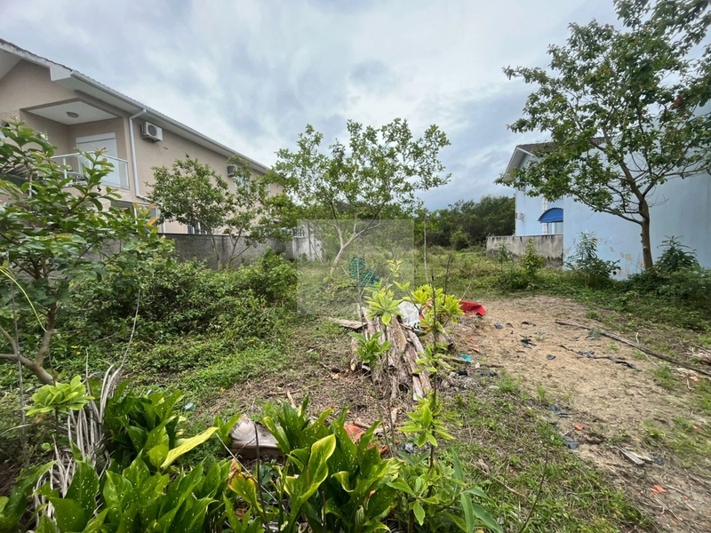 Terreno em Canasvieiras com 450 m² Plano e Pronto para Construir: 5ª foto da galeria de imagens do imóvel