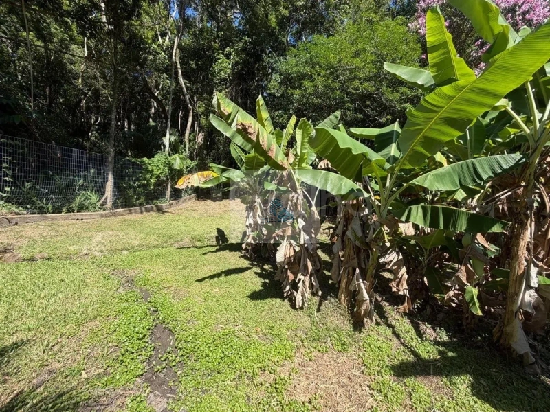Terreno com 1.910 m² em Santo Antônio de Lisboa, Florianópolis: 7ª foto da galeria de imagens do imóvel