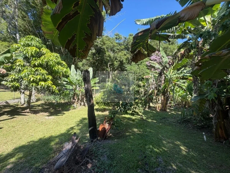 Terreno com 1.910 m² em Santo Antônio de Lisboa, Florianópolis: 9ª foto da galeria de imagens do imóvel