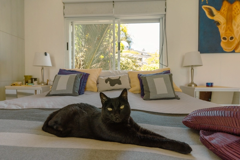 Casa de Alto Padrão com Vista Mar em Canajurê – Florianópolis: 29ª foto da galeria de imagens do imóvel