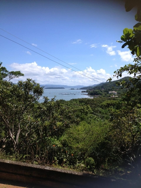 Terreno a venda SC 401 Florianópolis: 5ª foto da galeria de imagens do imóvel